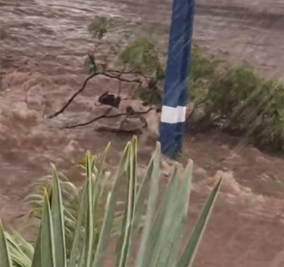 Familia rescata a un perro callejero que quedó varado tras fuertes lluvias, y decide adoptarlo 5 Familia rescata perro