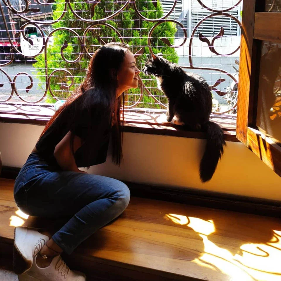 Este café en Colombia te permite conocer gatos abandonados y reubicarlos o adoptarlos 9 Gatito con cliente