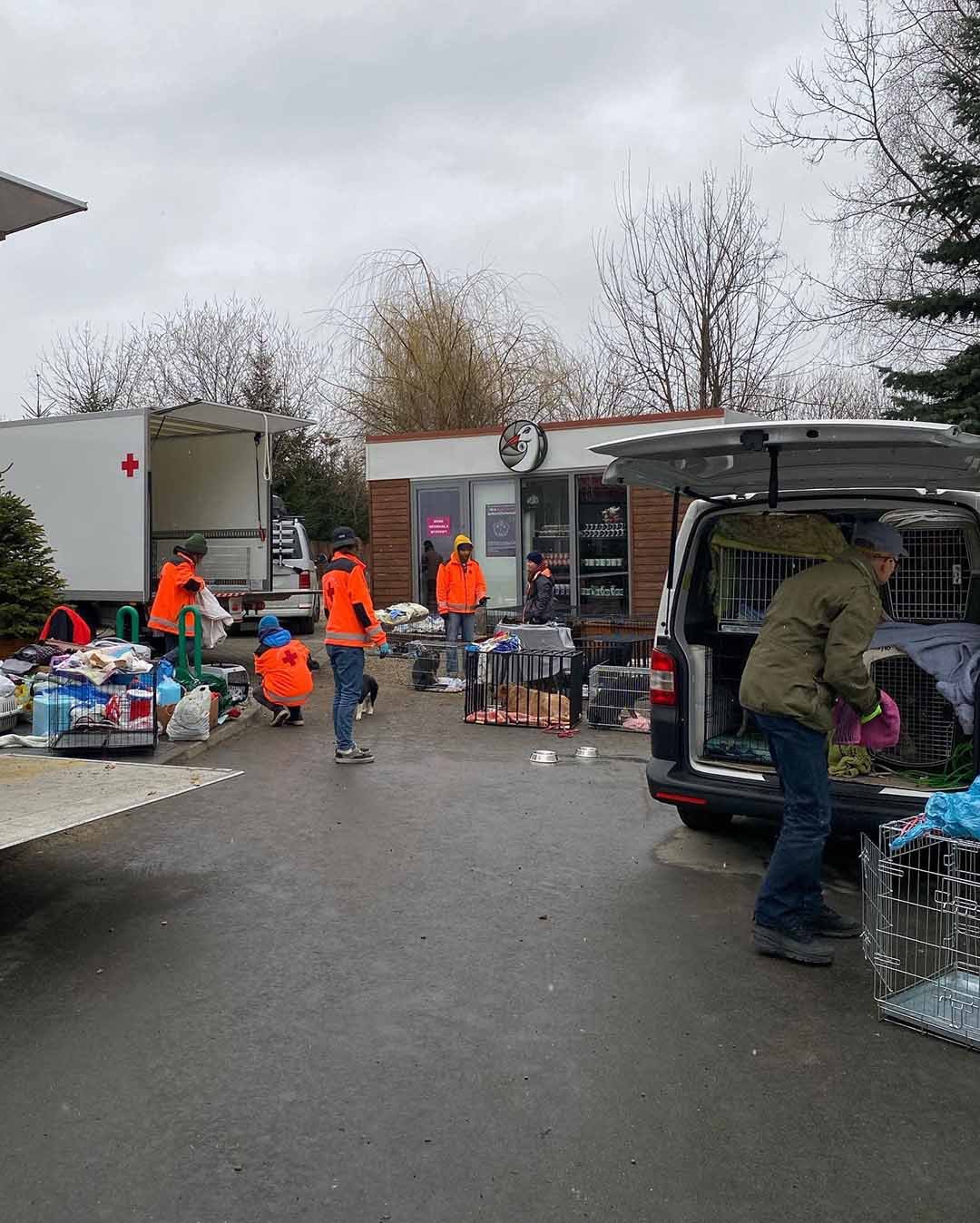 Grupo de voluntarios de animales