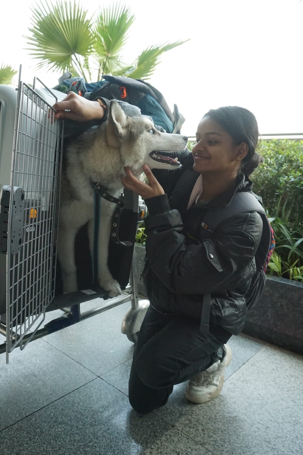 La joven india que no abandonaría a su perrita en una zona de guerra 12 Joven y su perro
