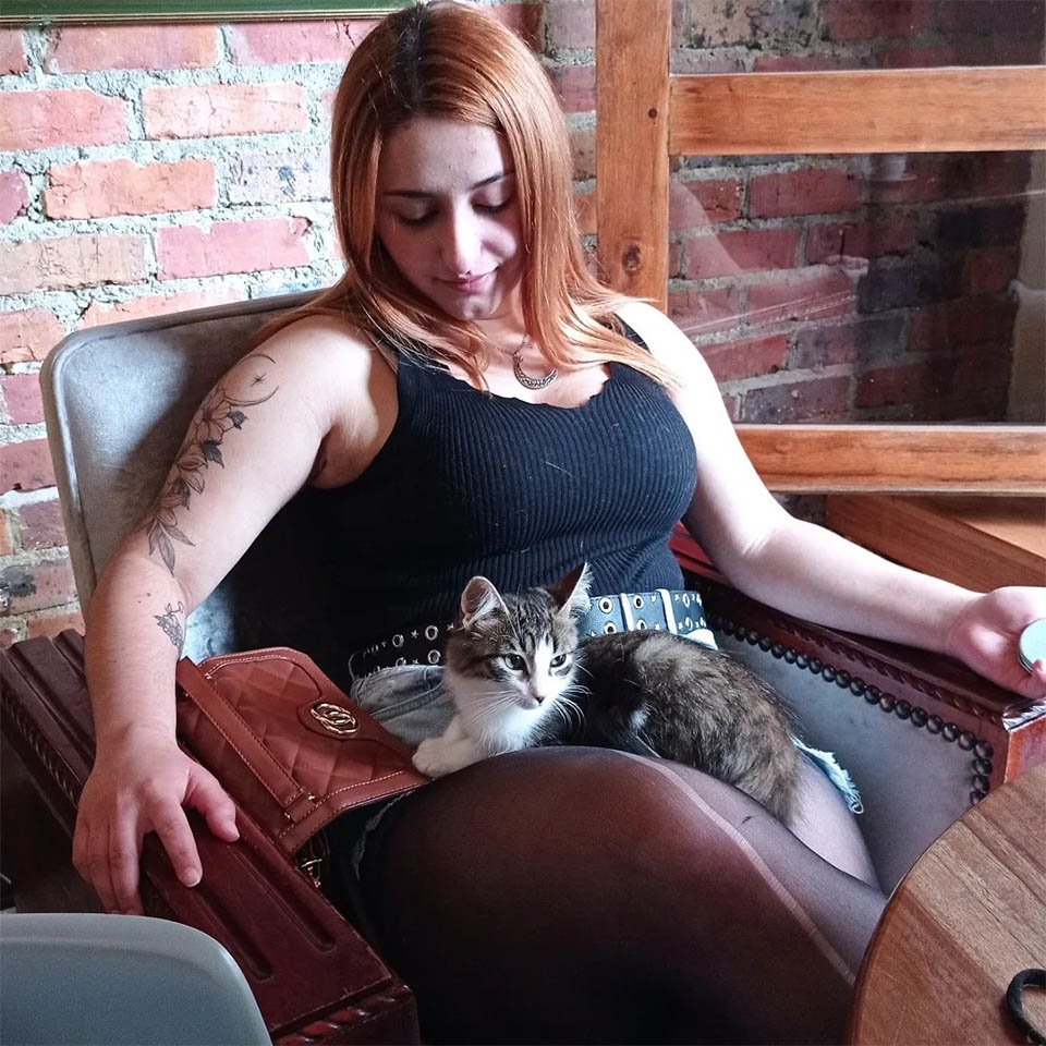 Este café en Colombia te permite conocer gatos abandonados y reubicarlos o adoptarlos 14 La Gatoría café en Colombia