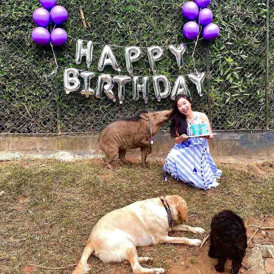Mujer junto a jabalí y perros