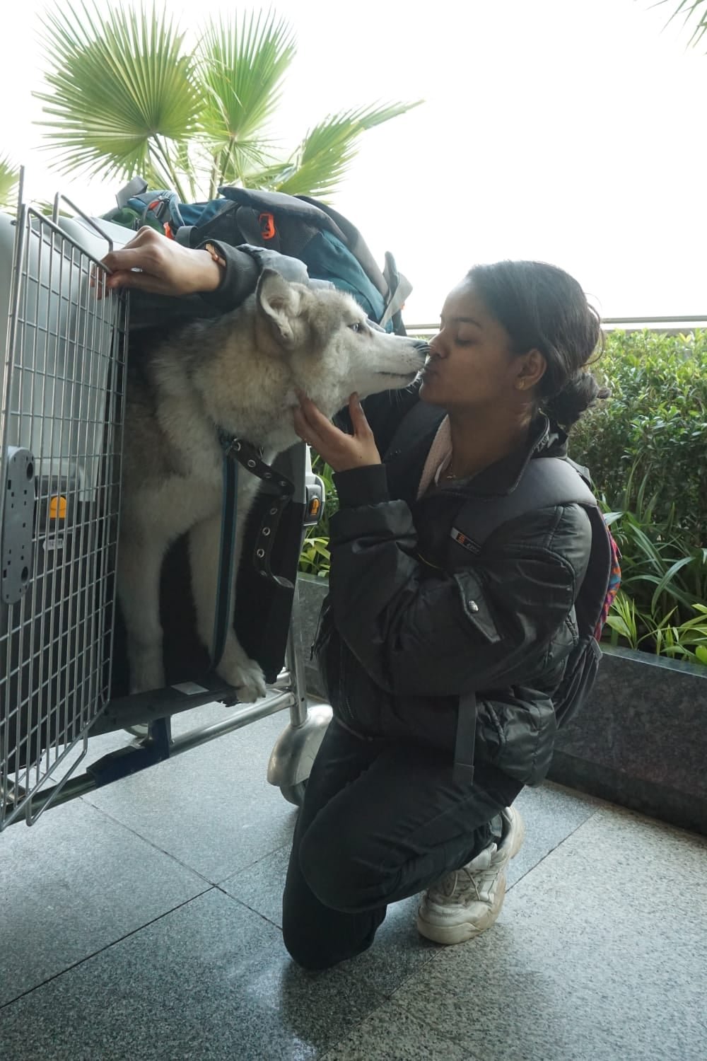 La joven india que no abandonaría a su perrita en una zona de guerra 8 Niña se reúne con su mascota