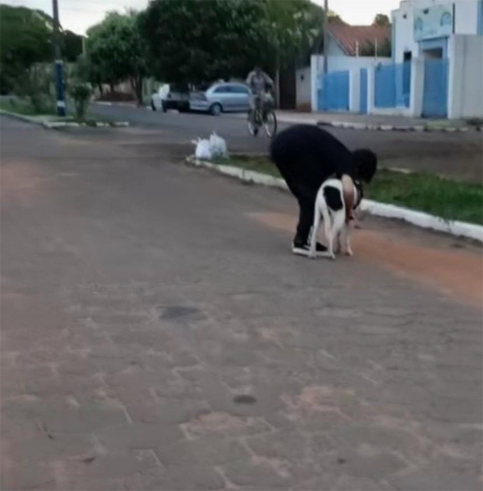 Familia rescata a un perro callejero que quedó varado tras fuertes lluvias, y decide adoptarlo 8 Sorriso paseando