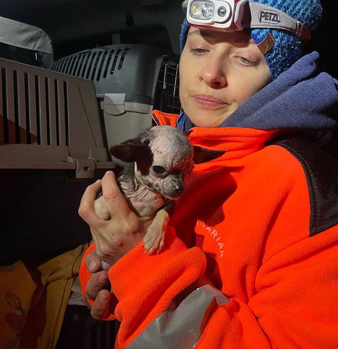 Veterinario heroico arriesga su vida en Ucrania