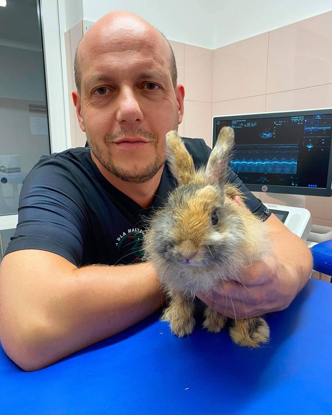 Veterinario y conejo
