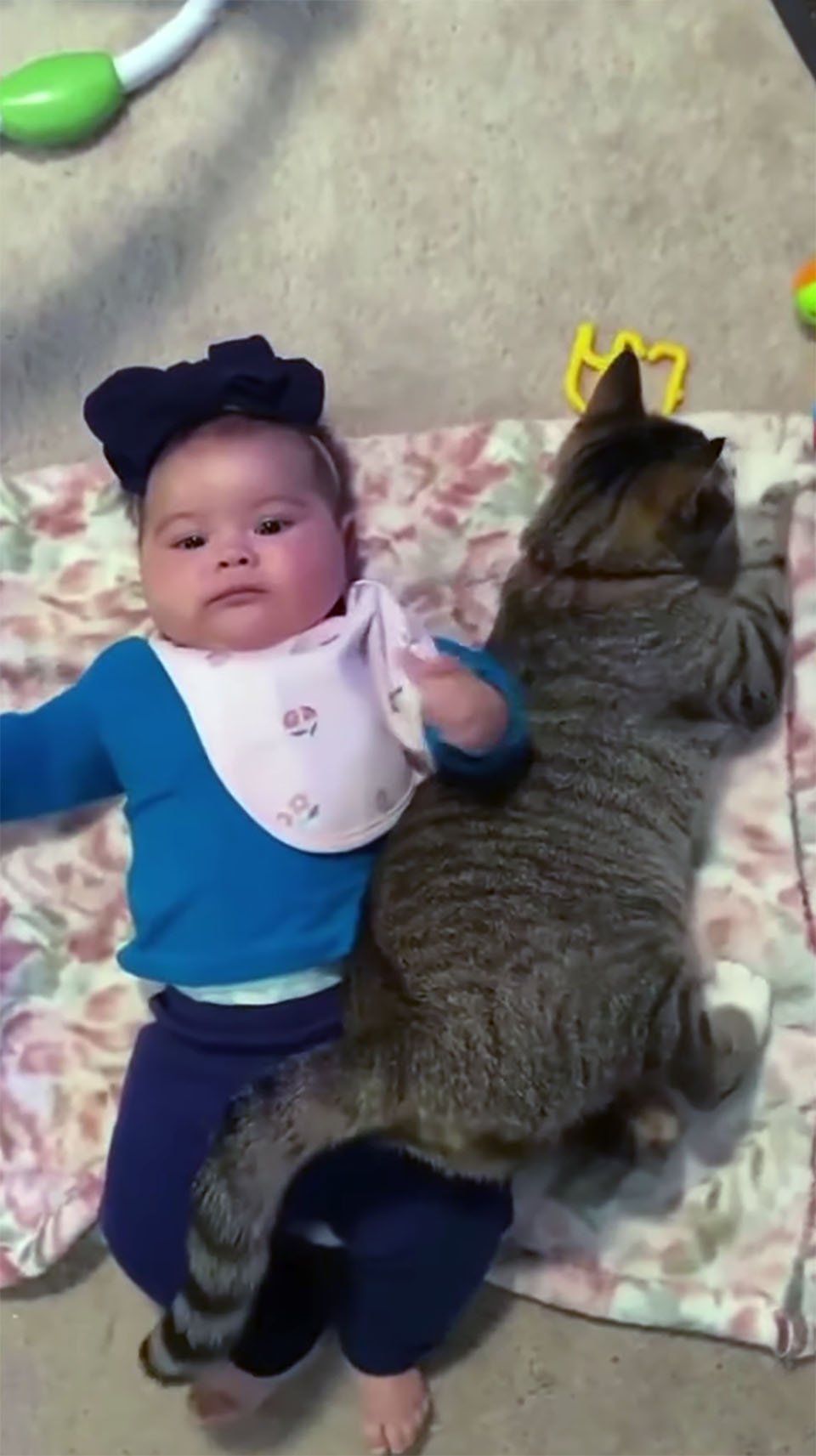 Gato rescatado es el mejor amigo de una bebé, y quiere estar cerca de ella todo el tiempo 3 Bebé junto a gato rescatado