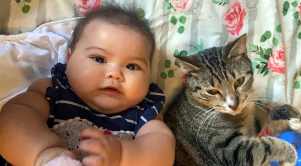 Gato rescatado es el mejor amigo de una bebé, y quiere estar cerca de ella todo el tiempo 1 Bebé y un gato