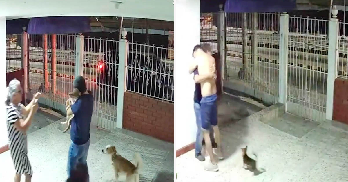 Familia no puede creer que su perro perdido haya regresado a casa