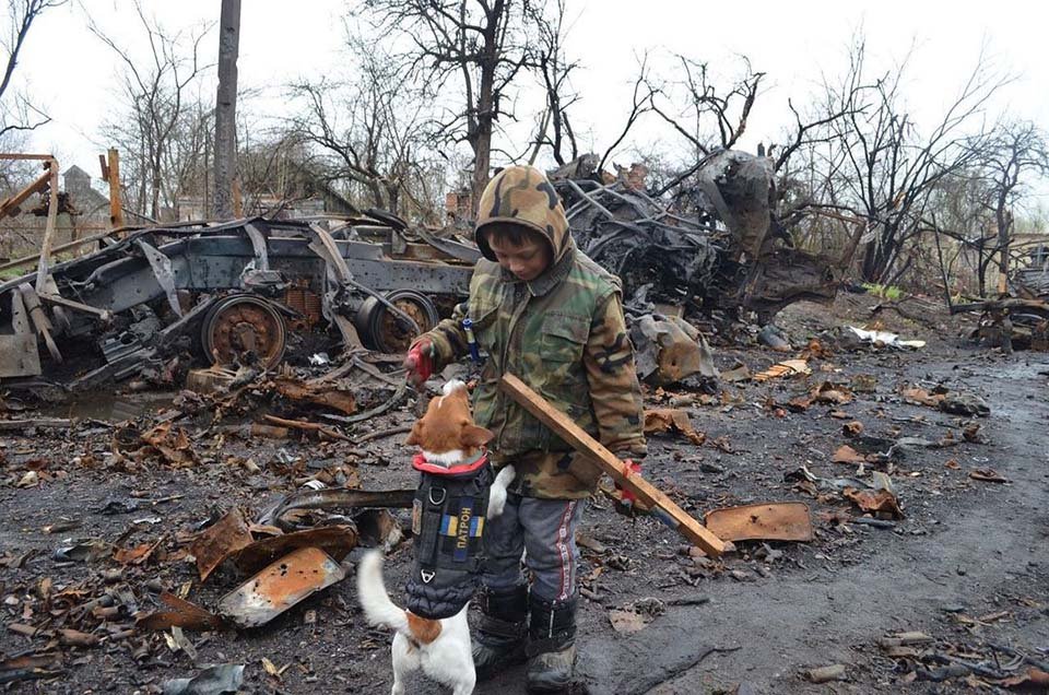 Jack Russell Terrier detector de bombas ha encontrado 150 bombas rusas en Ucrania 5 Niño jugando con perro en medio de zona destruida