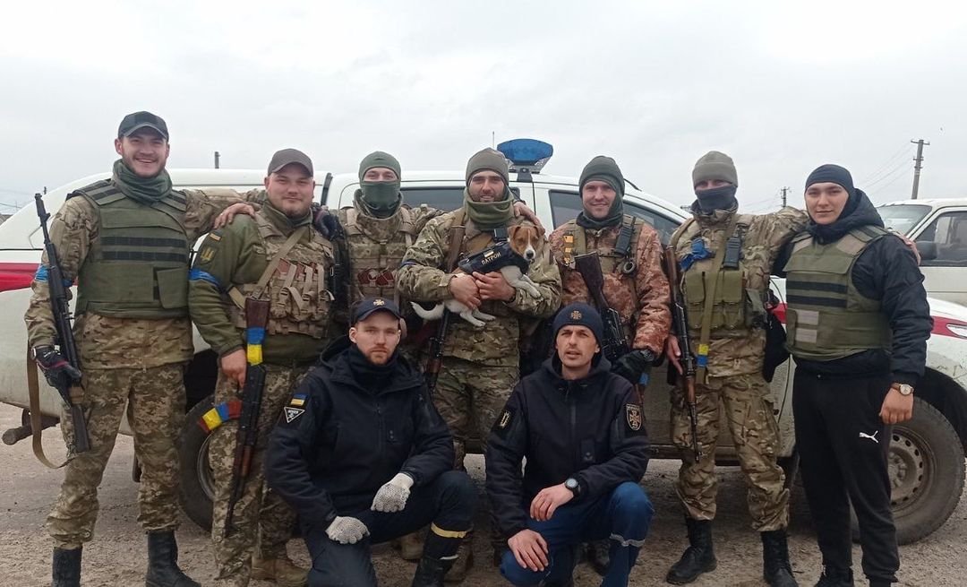 Jack Russell Terrier detector de bombas ha encontrado 150 bombas rusas en Ucrania 6 Perro detector de bombas ha encontrado 150 bombas rusas en Ucrania