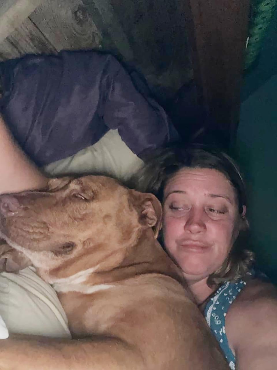 Pareja encuentra perro acurrucado en su cama