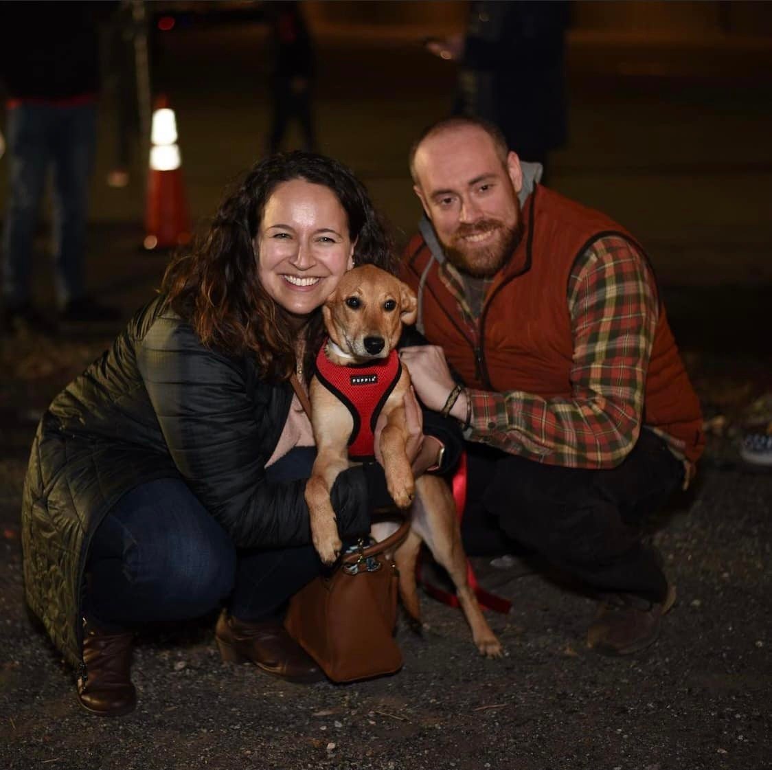 Cachorra abandonada en una caja recibe una nueva oportunidad de vida Cachorra abandonada en una caja recibe una nueva oportunidad de vida