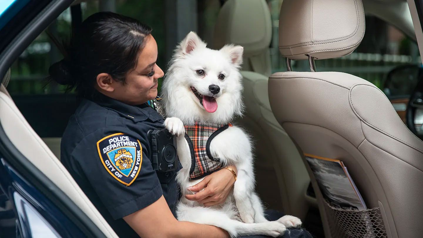 Oficial y perro rescatado