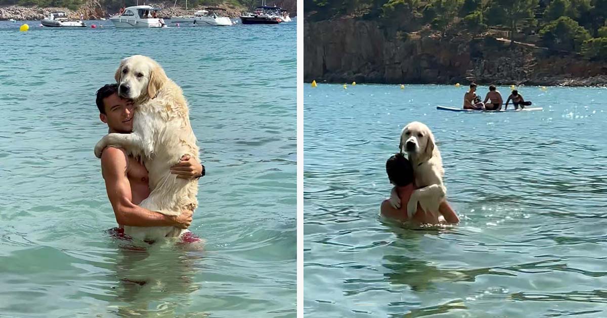 Perro insiste en abrazar a papá en el agua por la más dulce razón