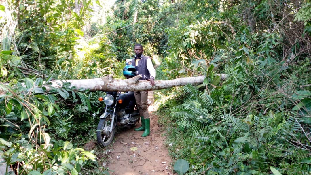 Chimpancé bebé no deja de mirar a la persona que le salvó la vida 7 Rescatista en su motocicleta