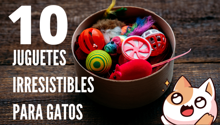 10 juguetes para gatos que garantizan horas de diversión