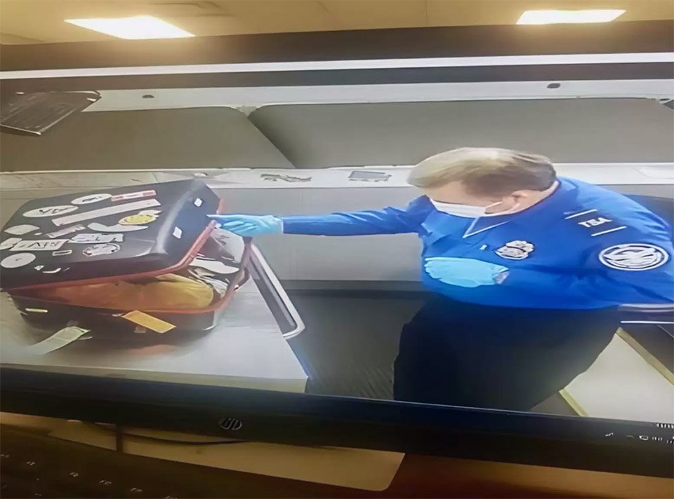 La seguridad aeroportuaria encuentra a alguien inesperado escondido en una maleta 5 Gato encontrado en una maleta