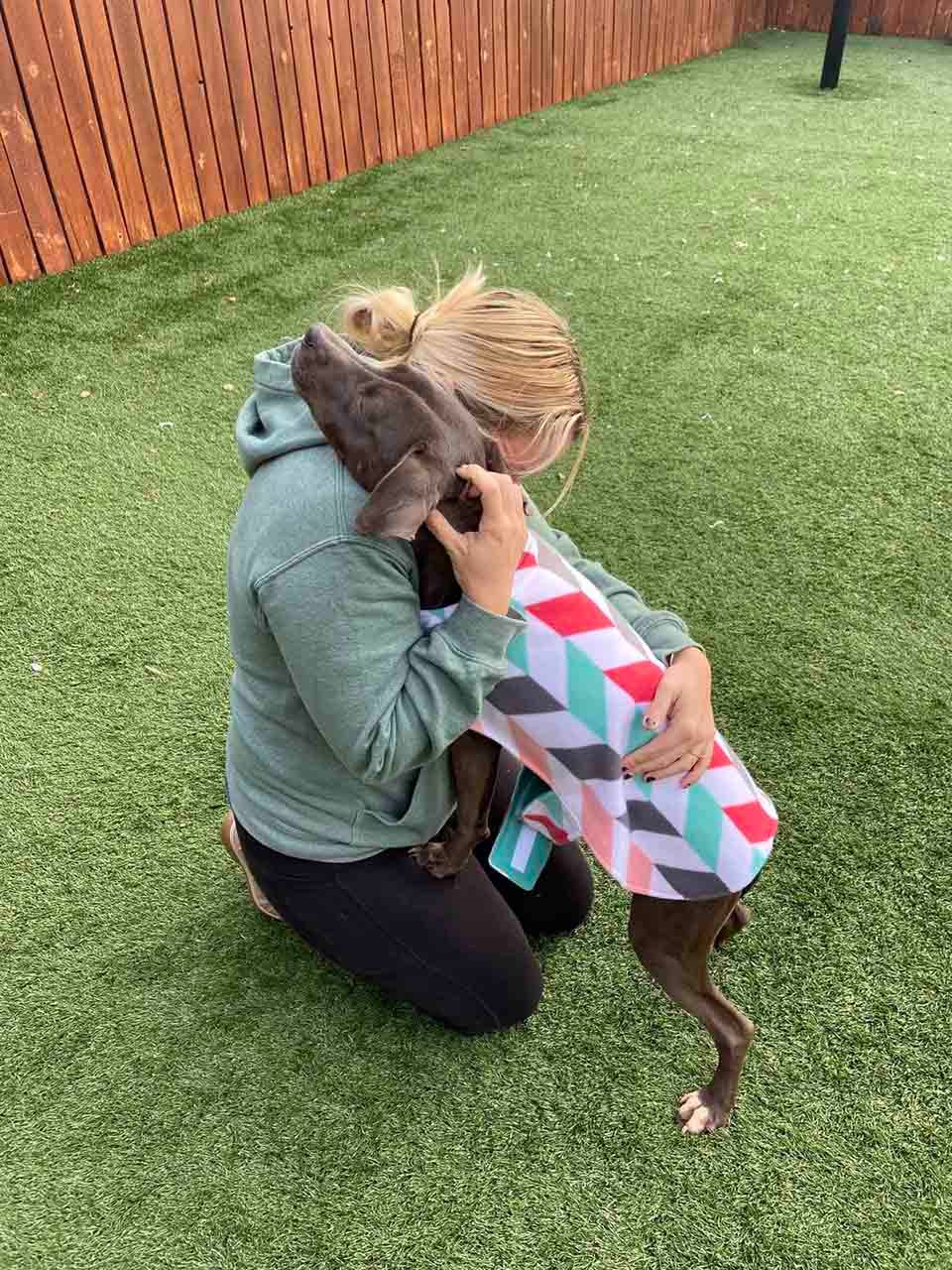 Perrita de refugio