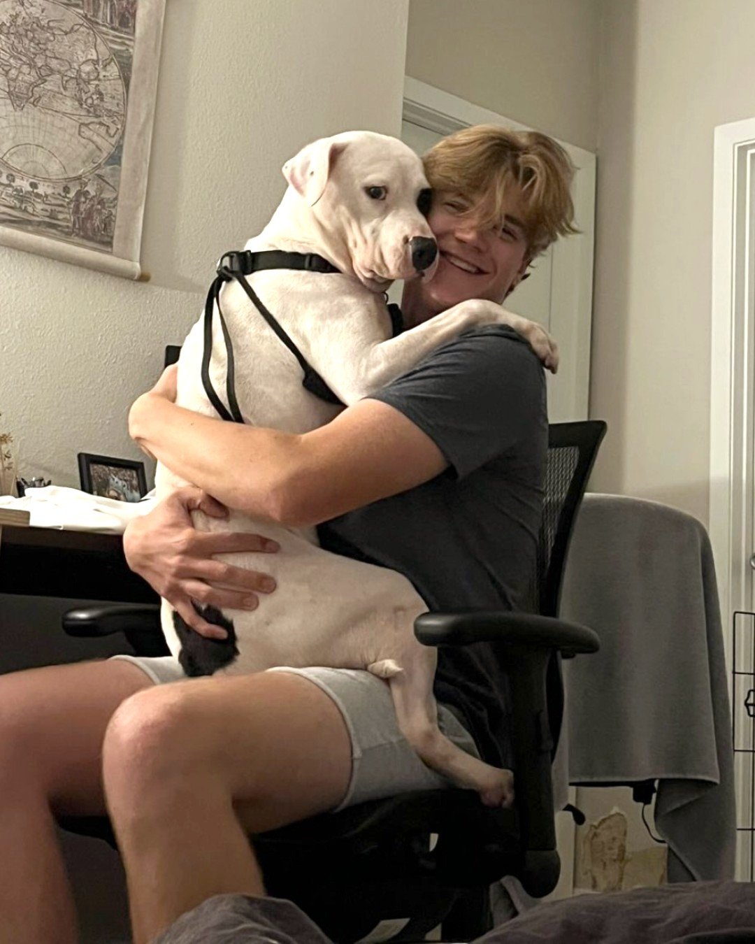Petey adoptado