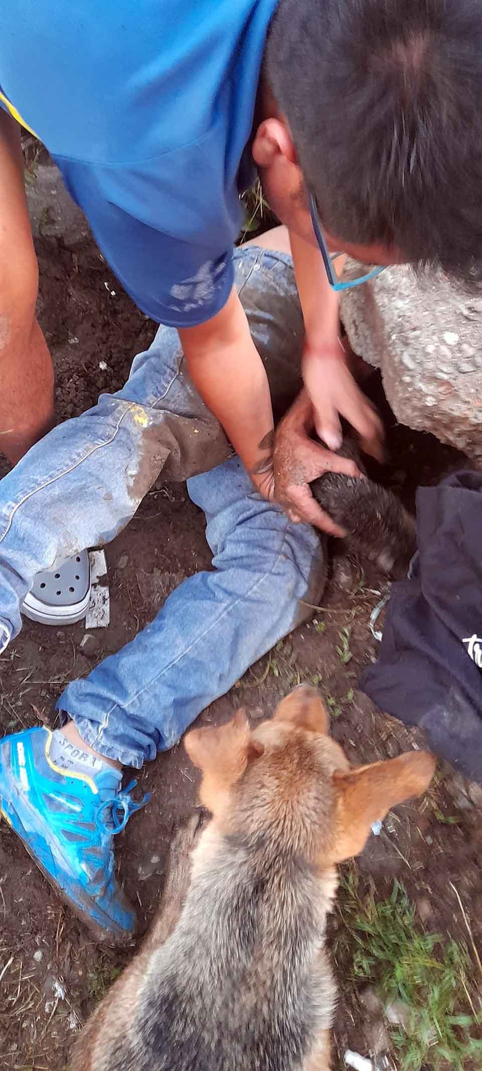 Hombre entra a un pozo para ayudar a una perrita y sus cachorros atrapados 7 Rescate de perrita y sus cachorros