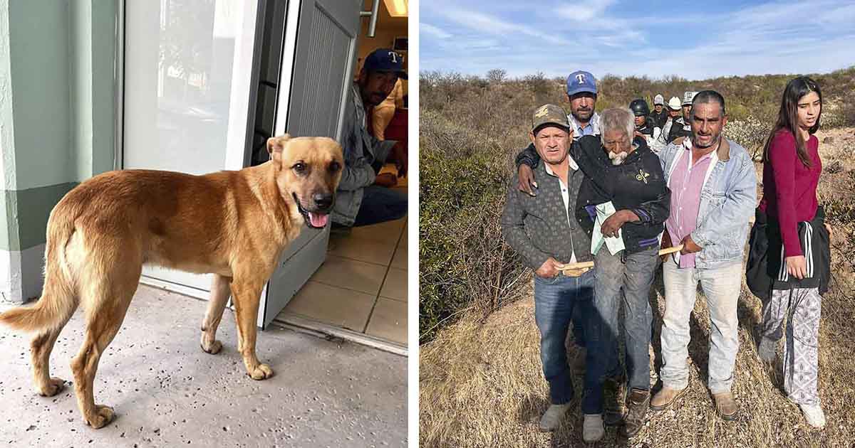 Rescatistas encuentran a un hombre perdido en el desierto gracias a su perro