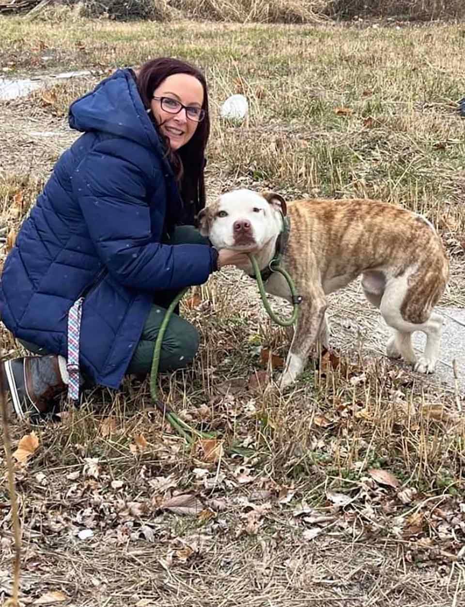Perro cojeando en el frío, camina lo más rápido posible cuando ve que van a ayudarlo 4 Mac al ser rescatado