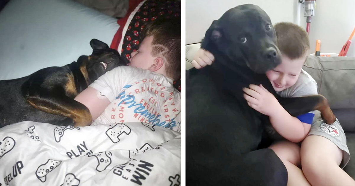Perrita duerme con su hermano todas las noches y le salva la vida