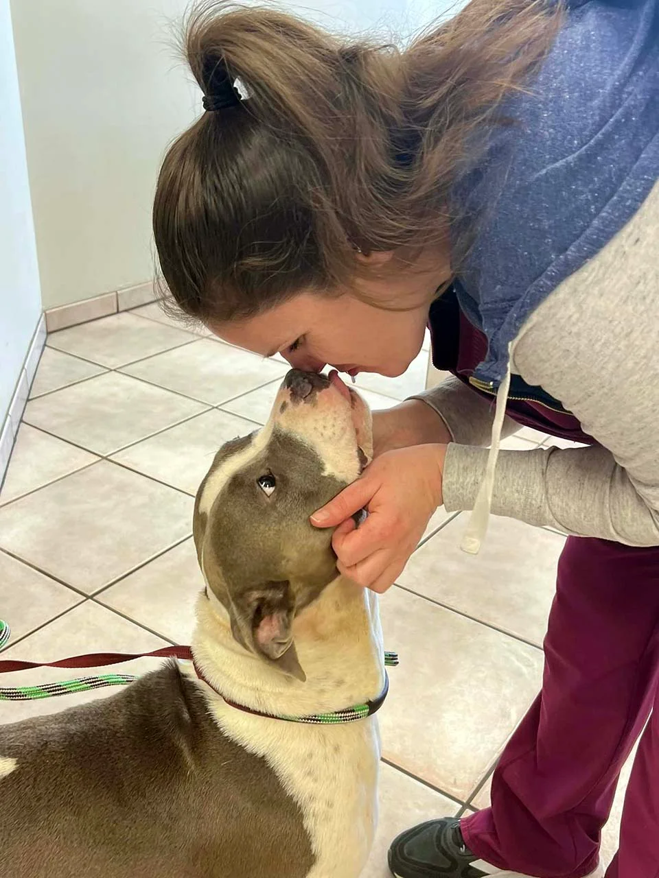 Perrita solitaria pasa la pata a través de las rejas para tomar de la mano a los que pasan 3 Eden y sus cuidadores