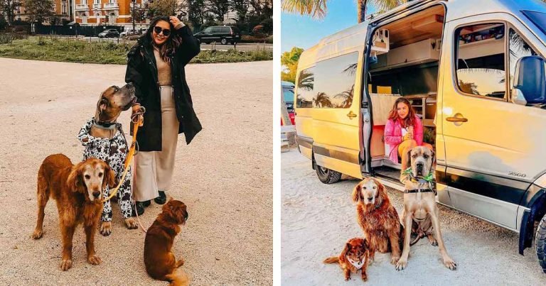 Pareja alquila un jet privado para llevar a sus amados perros de viaje por el mundo