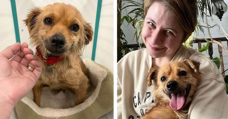 Pequeña perrita no deja de sonreír a todos después de ser rescatada