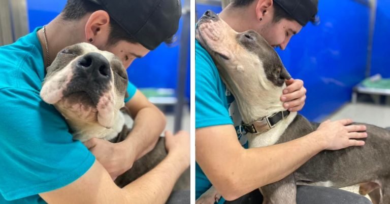 Perro rescatado agradece a todos en el refugio con abrazos