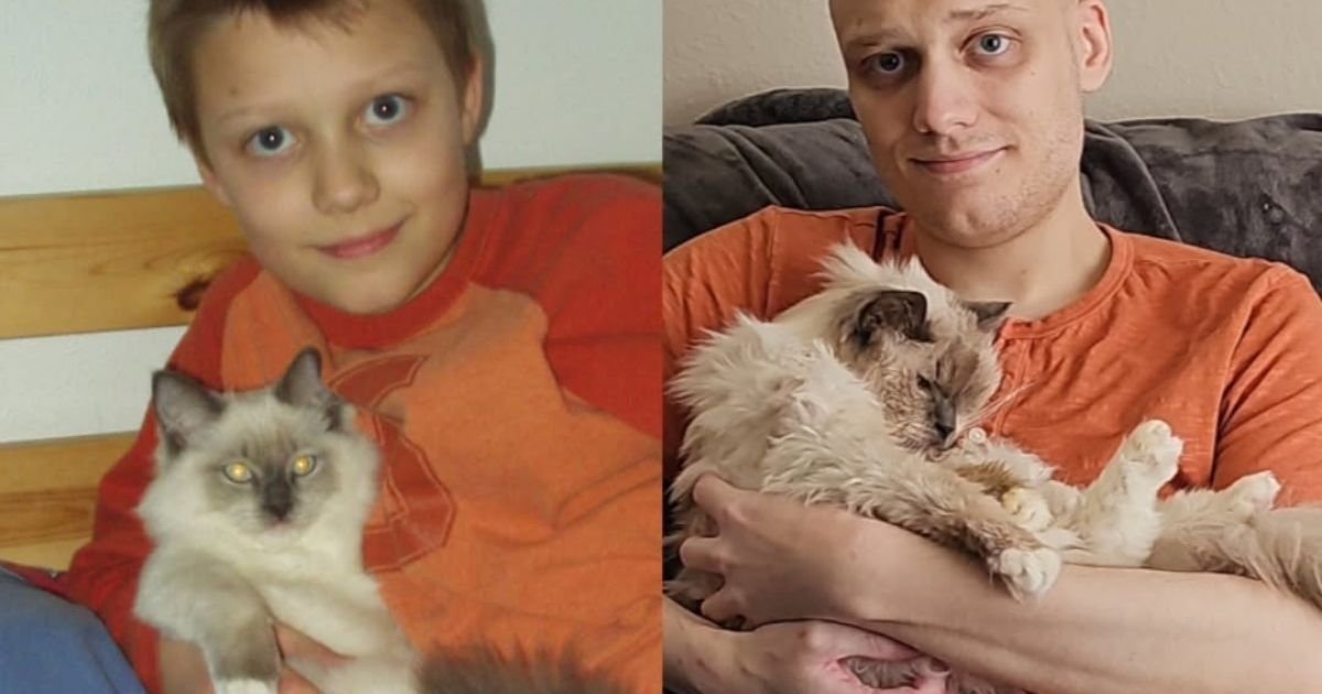 Hombre recrea foto con su gato