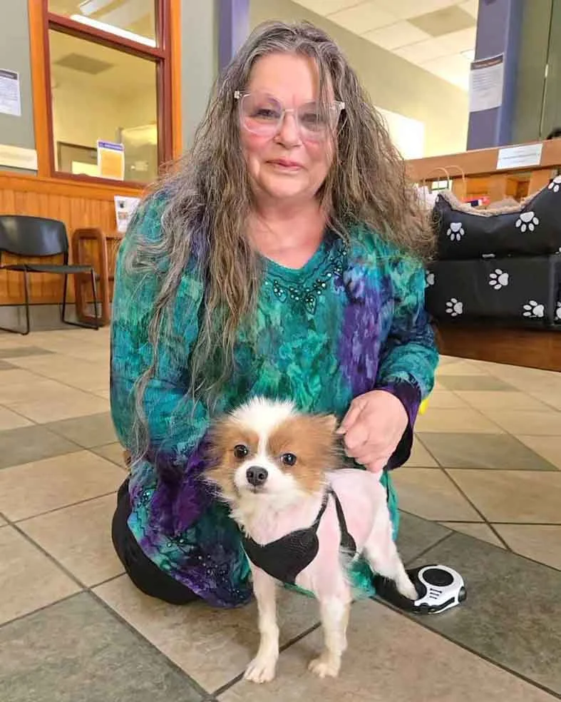 El Día Que 101 Perros Conocieron Por Primera Vez El Amor: Jamie Fue Solo El Comienzo 7 Jamie fue la primera de los 101 perros rescatados en encontrar un hogar