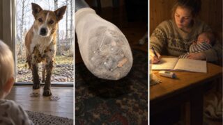En Finlandia, los bebés que menos se enfermaron tenían el perro que menos paraba en casa
