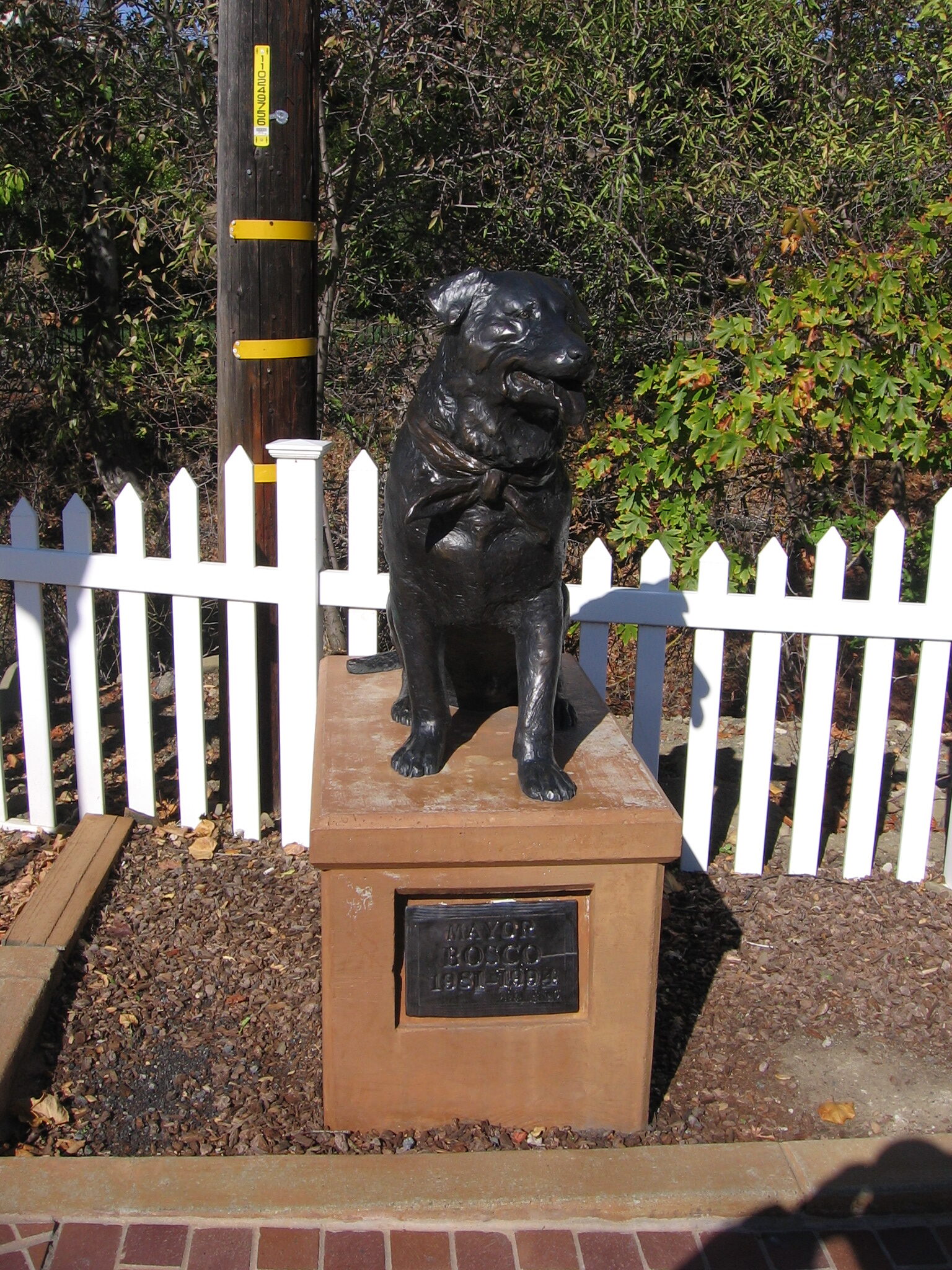 Un perro ganó una elección en California y el diario oficial chino lo usó contra la democracia 3 Estatua de bronce del perro Bosco frente a la oficina de correos de Sunol, California