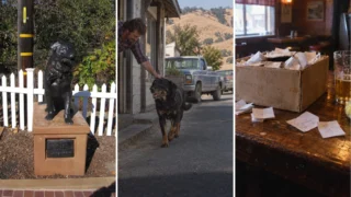 bosco perro alcalde sunol china democracia hero