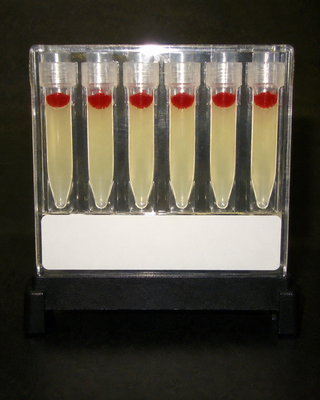 A algunos dálmatas les falta una marca que casi todo perro lleva en la sangre 4 Primer plano de una tarjeta de plástico transparente con seis microtubos estrechos, de pie en un pequeño soporte negro sobre fondo oscuro