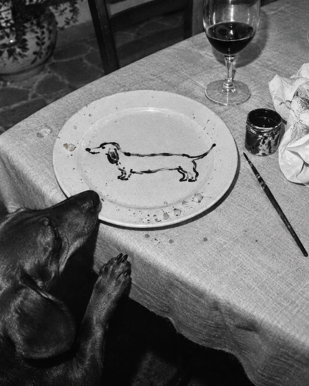 Picasso cambió el mastín de Las Meninas por un perro salchicha que llegó de visita 4 Fotografía granulada en blanco y negro de un plato blanco sobre una mesa de comedor, con migas en el borde y la silueta de un perro de cuerpo largo y patas cortas trazada con pinceladas negras