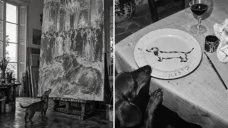 perro salchicha de picasso las meninas hero