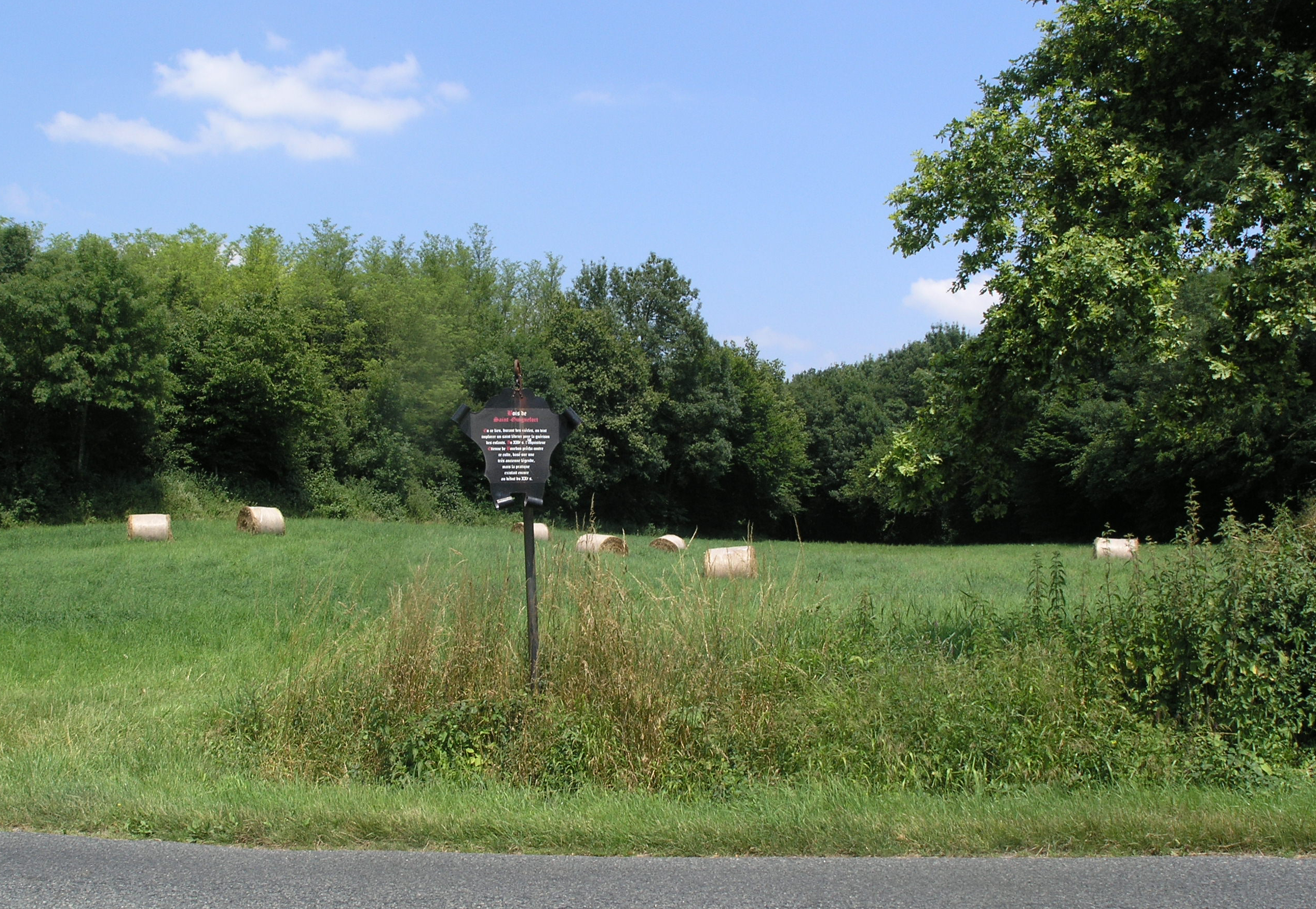 Durante siglos, las madres llevaron a sus bebés enfermos a la tumba de un galgo 3 Prado junto al bosque de Saint-Guinefort, en Sandrans, con un cartel que recuerda la leyenda del galgo