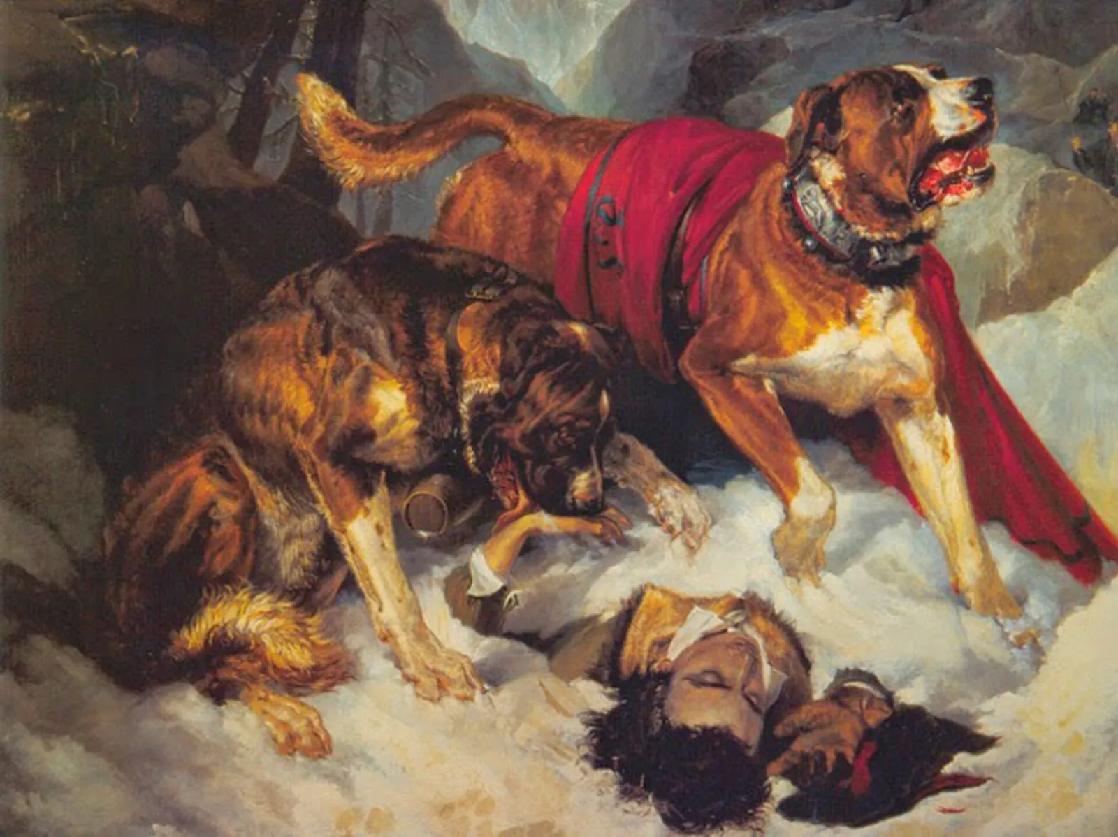 El barril del San Bernardo nació en un cuadro pintado por un muchacho de 18 años 3 Cuadro al óleo de Edwin Landseer: dos perros enormes sobre la nieve junto a un viajero caído en el paso del Gran San Bernardo; uno de ellos lleva un pequeño barril al cuello.