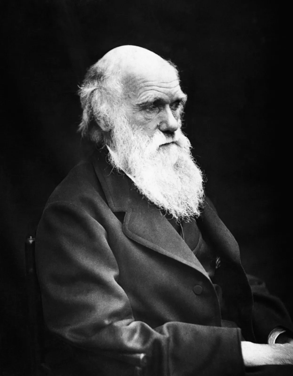 Retrato fotográfico de época de Charles Darwin