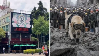 frida perrita rescatista mexico despidio dos veces hero