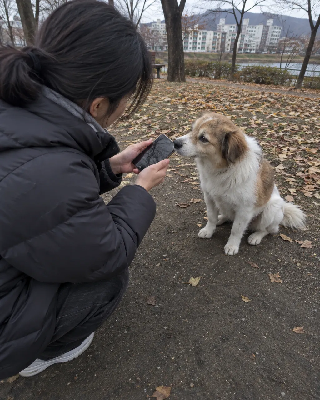 Una persona con chaqueta acolchada se agacha en el sendero de un parque otoñal, con árboles sin hojas y edificios bajos al fondo, y acerca un teléfono al hocico de un perro