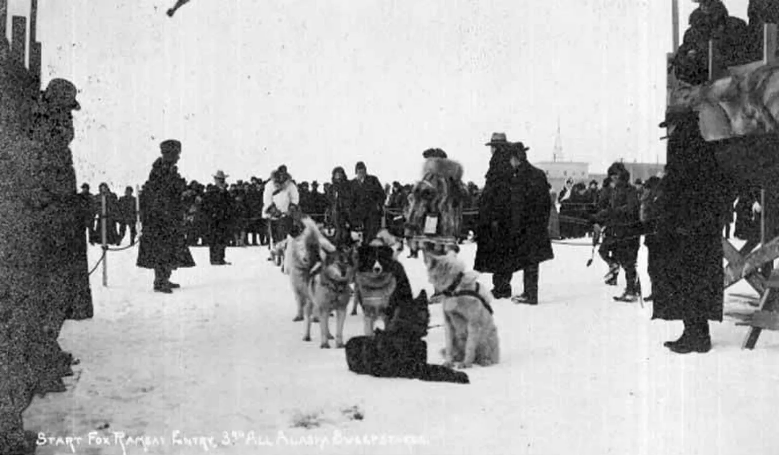 Fotografía de época en blanco y negro de un equipo de perros siberianos enganchado a un trineo en la salida de una carrera en Nome, Alaska, en 1910