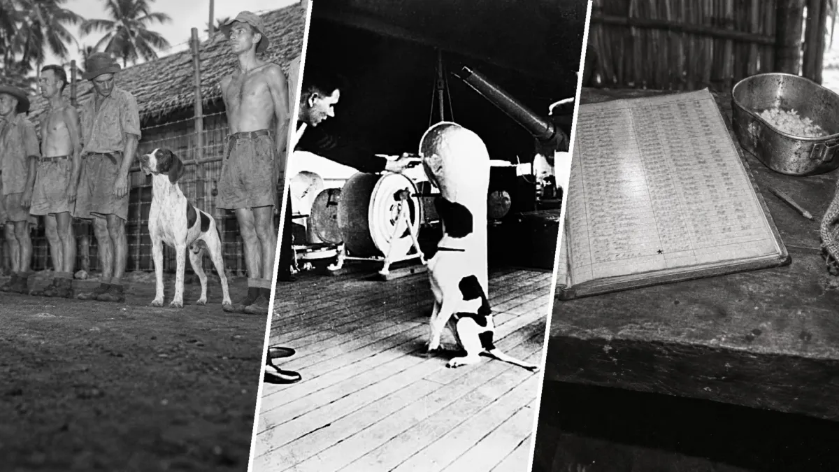 La prisionera 81A de un campo japonés en Sumatra no era una persona