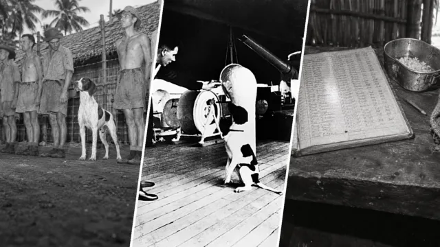 La prisionera 81A de un campo japonés en Sumatra no era una persona