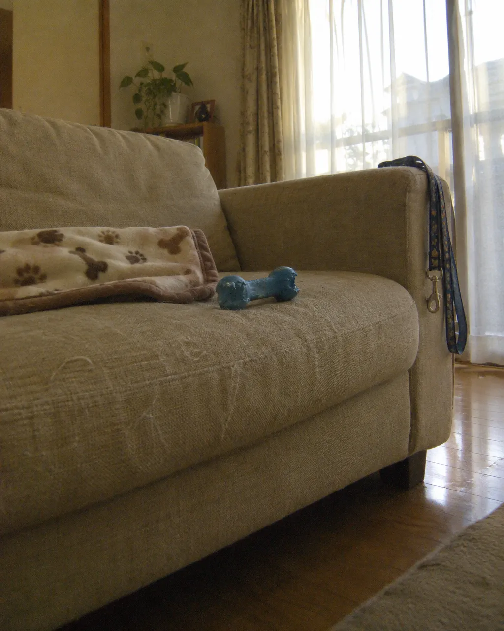 Sofá de tela beige en una sala japonesa, con una manta para perro doblada, un juguete de goma mordido y una correa colgada del brazo