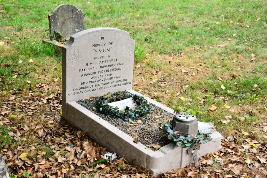Nombres para gatos machos: 200 ideas originales y con significado 3 La lápida de piedra del gato Simon en un cementerio de animales, con hojas secas alrededor